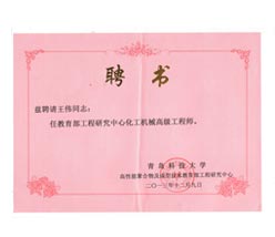 王伟高级工程师