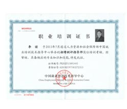 李谊高级职业测评导师